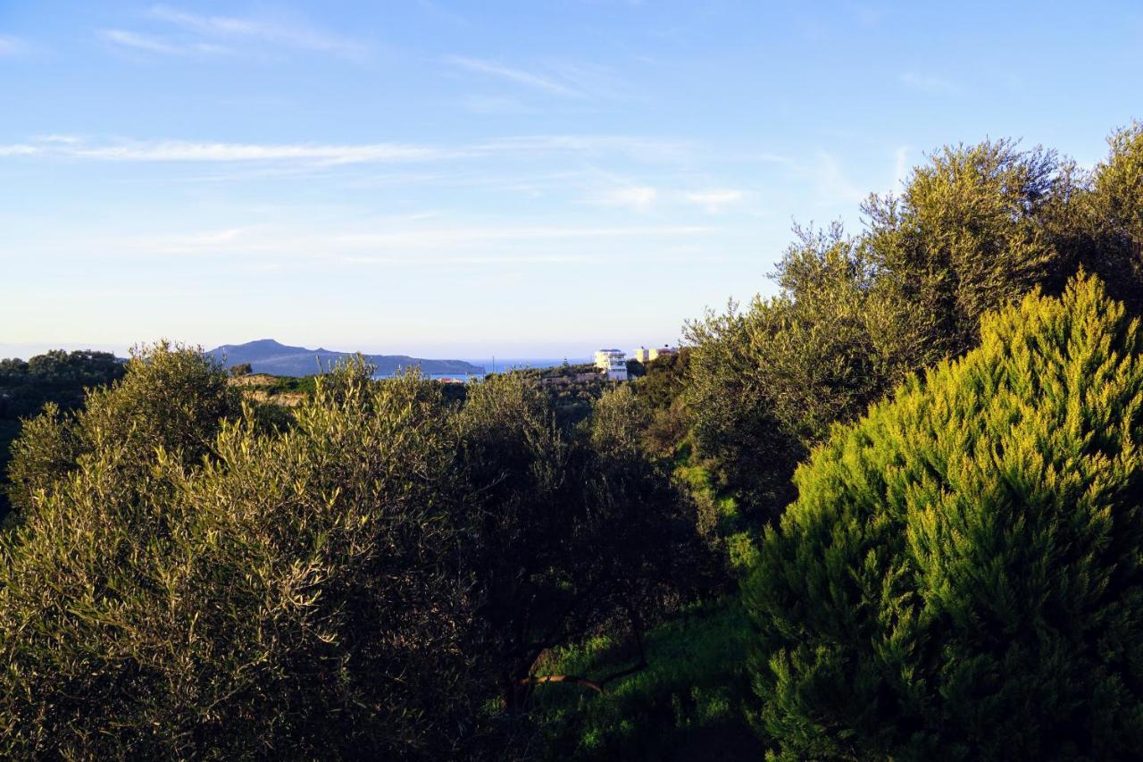 Olive Tree Hillside Apartment Stalós Zewnętrze zdjęcie