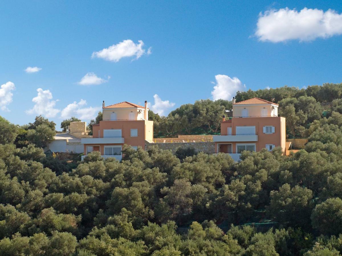 Olive Tree Hillside Apartment Stalós Zewnętrze zdjęcie